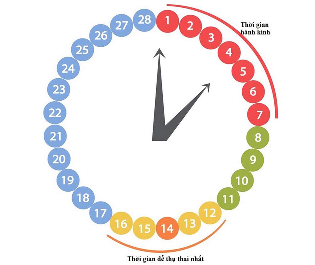 Cách tính thời điểm thụ thai