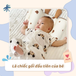 Gối định hình đầu chống méo, chống bẹp Unbee
